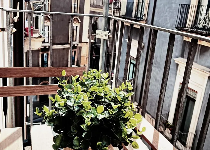 Domus Coppola Catania